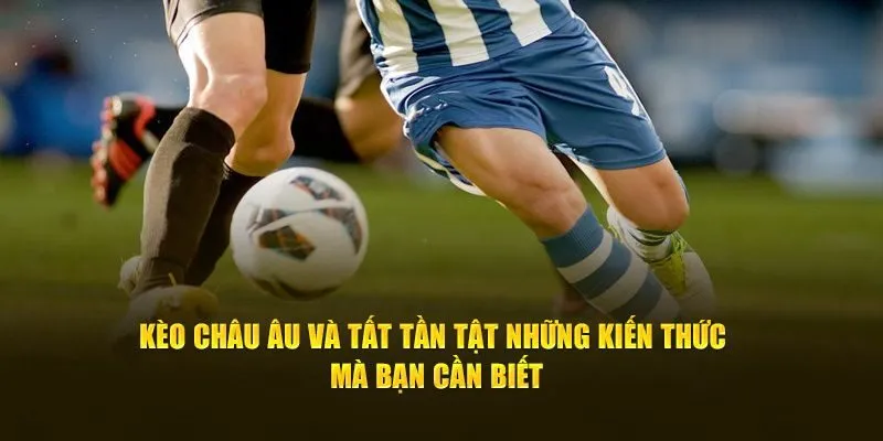 Một trong những lợi thế khi lựa chọn kèo châu âu là tính dễ hiểu và minh bạch